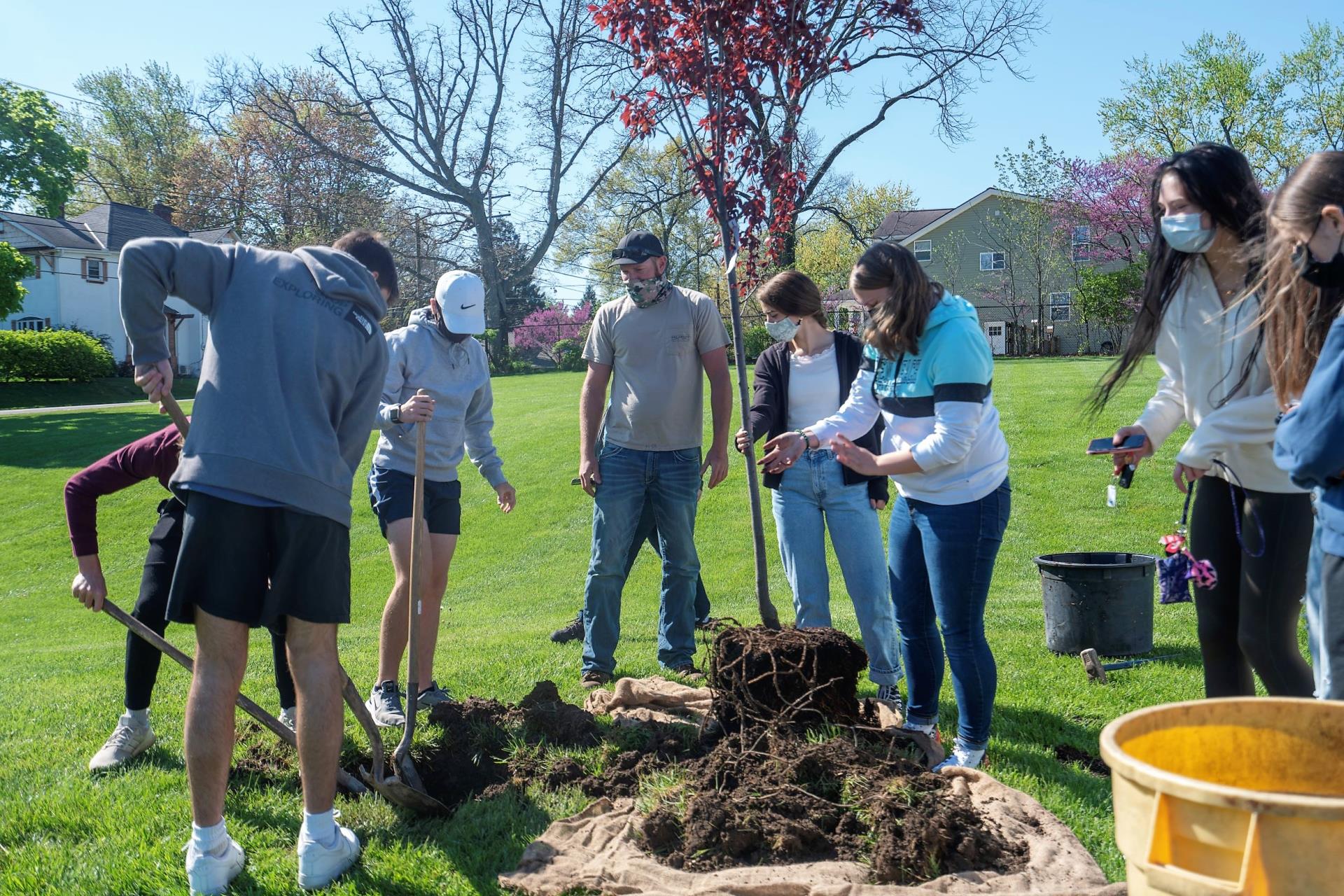 Arbor Day 2 (2)