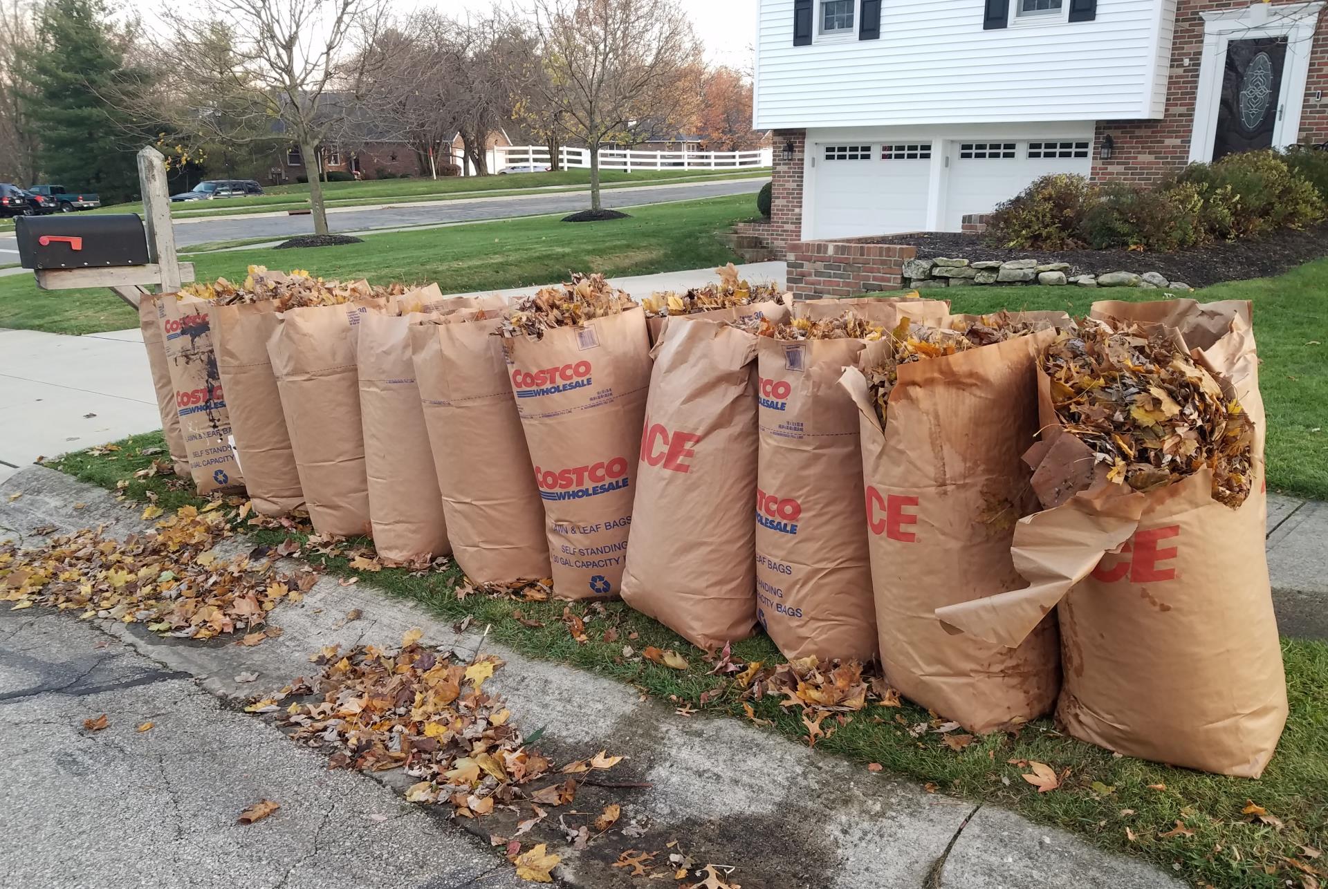 Bagged leaves